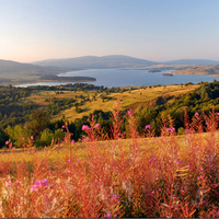 Vlasina Lake Summertime/Leto na Vlasinskom Jezeru