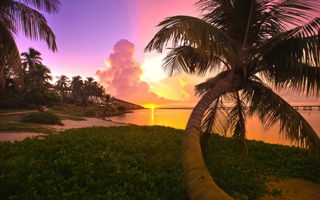 Sunset - palms, sunset, nature, island, ocean, sky