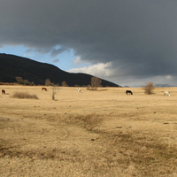 Old Mountain/Stara Planina