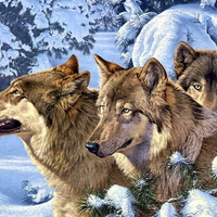 wolves