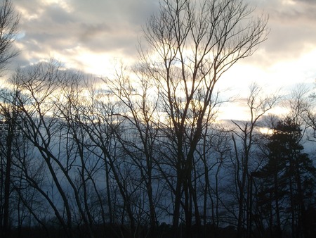 Nature is Beautiful - clouds, trees, light, sun, sky