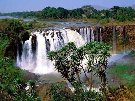 Blue Nile Falls Ethiopia - trees, water, waterfall, africa, ethiopia