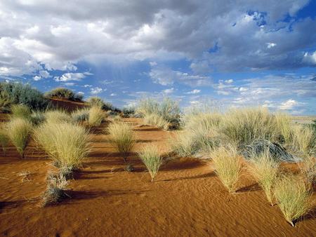 Kgalagadi Transfrontier Park South Africa - kgalagadi, south africa, clouds, nature, sky