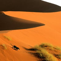 Dunes of Sossusvlei Park Namibia