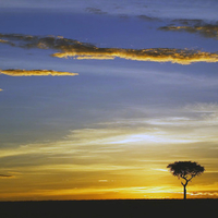 Sunrise Masai Mara Kenya