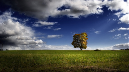 elevation - sky, landscape, clouds, tree, nature