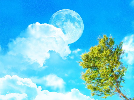 blue sky - sky, clouds, tree, nature, blue