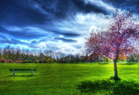 Spring - road, beautiful, grass, view, tree, nature, cars, colorful, pretty, landscape, beauty, spring, peaceful, blue, sky, bench, sunny, clouds, lovely, trees, colors, green