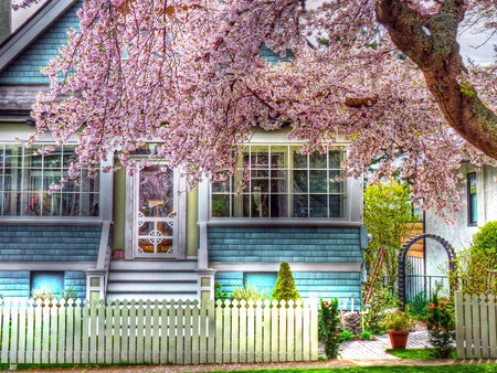 Spring Time - pretty, sunny, window, grass, spring, pink, reflection, home, view, houses, vase, house, trees, beautiful, windows, beauty, colors, lovely, architecture, fence, tree, colorful, stairs, nature, green, peaceful