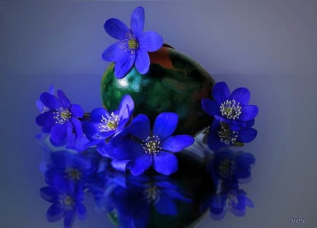 Blue for You - violets, flowers, blue, vase