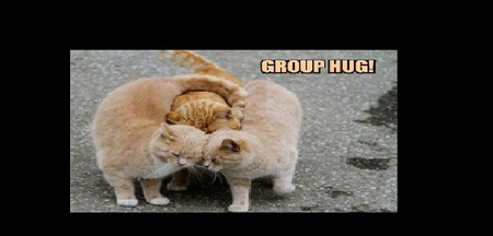 Group Hug! - street, hugs, kittens, three