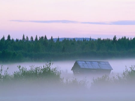 Mist of morning - trees, fog, grass, morning, dawn, mist, field, shed, sky