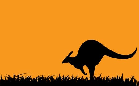 Kangaroo ! - jumping, kangaroo, sunset, australia