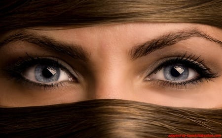 eyes - woman, face, people, eyes