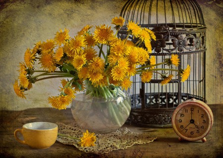 still life - pretty, yellow, photo, flowers, cage, clocks, old, nice, vase, beautiful, coffee, photography, lace, tea, lovely, cool, still life, flower, bouquet, drink, harmony, cell, cup