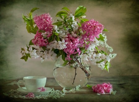 still life - pretty, porcelain, spring, pink, photo, gentle, flowers, fresh, nice, vase, hyacinths, beautiful, coffee, photography, lace, tea, lovely, cool, still life, flower, bouquet, drink, harmony, white, hyacinth, glass