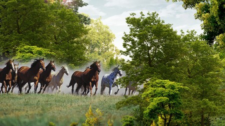 Running Horses - horses, herd, farm, sky, field, trees, country, grass