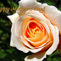 Mothering Sunday