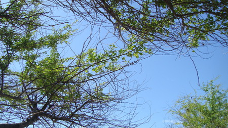 sky chaum - nature, sky, beach, blue