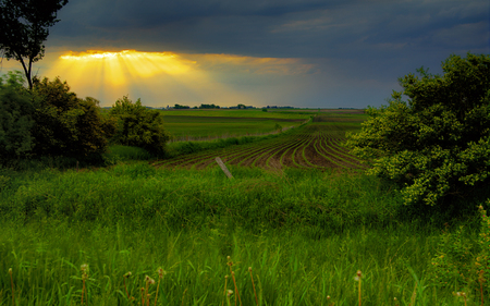 Sunlight - rays, sky, sunlight, trees, landscape, field, sunset, storm, nature, clouds, green, grass