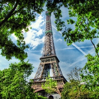 Tour d'Eiffel because of trees