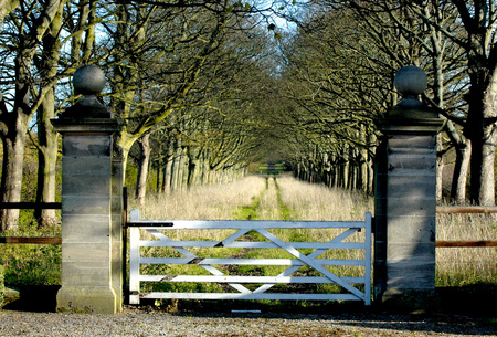 Silence... - gate, silence, tress, image, beautiful, landscape, photo, path, nature, view, background, country