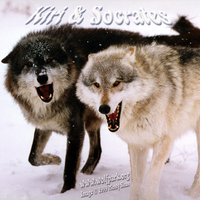 2 Wolves