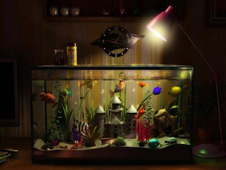 Aquarium - clock colors, aquarium, light, 3d, castle, photoshop, tetra, fish, lamp