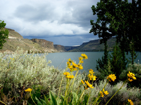 Storm coming - storm, lake, image, sky