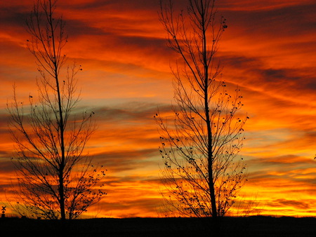 Idaho sunset in Autumn - clouds, sunset, bare trees, autumn