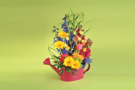 colour palette - fullcolours, variable, flowers, spring, still life