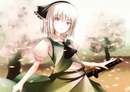 Youmu - game, anime, petal, touhou, girl, konpaku youmu, video game