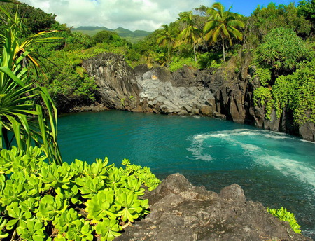 Lagoon - clouds, trees, lagoon, palmtrees, forest, clear, plants, sky, rocks