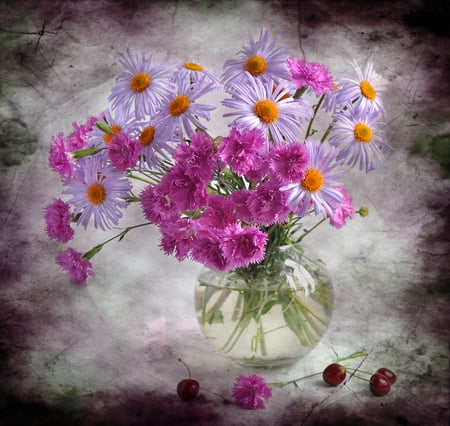 Refreshing - carnation, vase, cherries, water, refresing, beautiful, daisy, flowers, daisies, purple, fruit