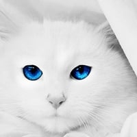 blue eyes