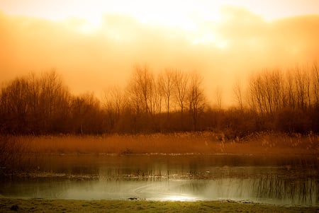 Orange... - landscape, light, reflection, mist, lake, sun, trees, water, image, beautiful, beauty, colors, orange, colorful, nature, sunset, peaceful