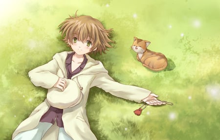 shima - brown, neko, clannad, hair, anime, cuteboy