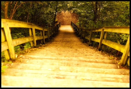 Stairs... - stairs, beauty, landscape, background, trees, light, image, path, lovely, tunnel, wood, nature, forest, yellow, beautiful, green