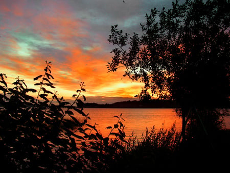 Lake - clouds, trees, oceans, yellow, blue, colors, ocean, orange, sunsets, tree, nature, color, lakes, sky