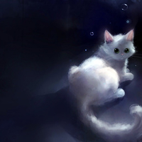 Kitty