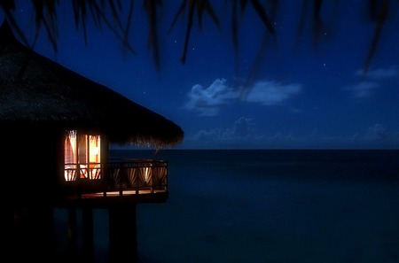 Tropical Nights - sky, beachhouse, palm trees, ocean, stars, trees, water, clouds, sea