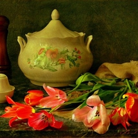 Tulips And China