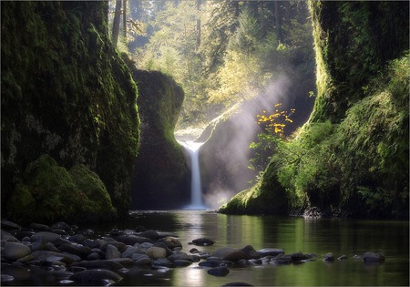 Scenic Falls - nature, water, beauty, green