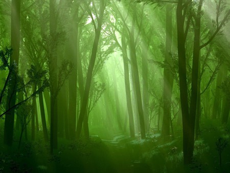 Spring Wood - forest, foggy, way, spring, tree, trees, nature, green