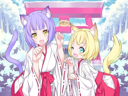 A Puuurrrfect Welcome nyaaaaaaa - beauty, anime girls, neko, sexy, hot, beauties, shrine maidens, catgirl, winking, beautiful, wink, japanese clothes, cute