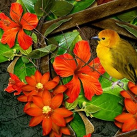 Bright Flowers Bird and Butterfly