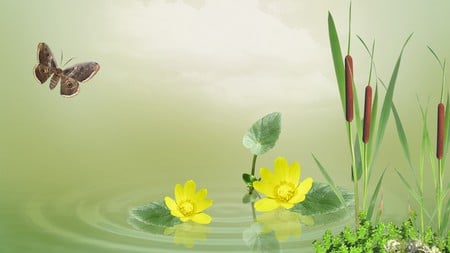 Floating Yellow Flowers - light, firefox persona, buttercup, flowers, green, bright, butterfly, floral, cat tails