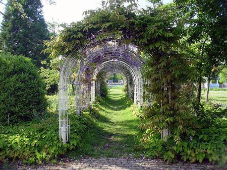 wisteria arches - arches, garden, wisteria, glicinia, nature