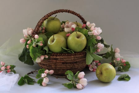 still life - blossoms, pink, green, basket, still life, apples