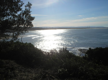 Norah Head Lighthouse - lighthouse, ocean, trees, sunset